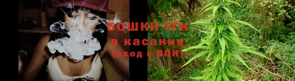 крисы Баксан