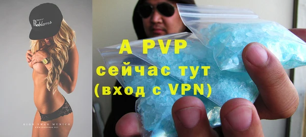 крисы Баксан
