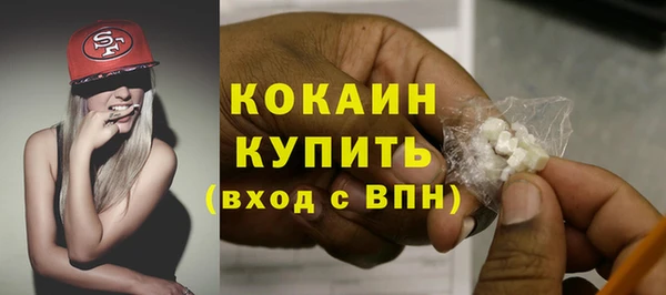 крисы Баксан
