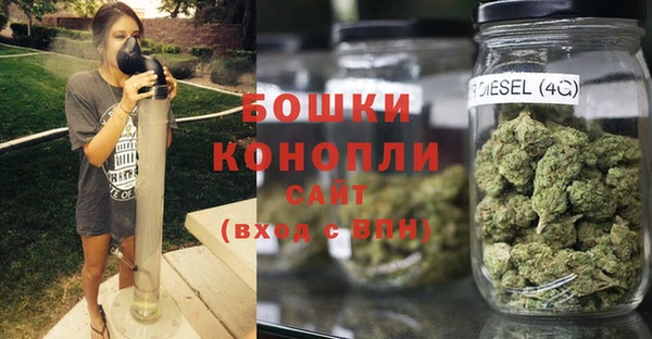 крисы Баксан