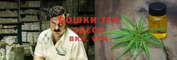 крисы Баксан
