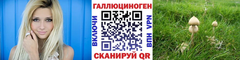 Купить где  Курлово  Галлюциногенные грибы мухоморы 